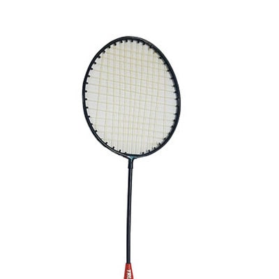 Scorpion Set of Badminton Rackets,